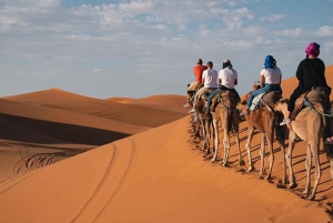 Avventura nel Sahara di 3 giorni e 2 notti: Da Marrakech a Merzouga
