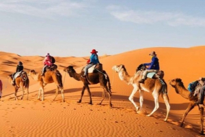 Avventura nel Sahara di 3 giorni e 2 notti: Da Marrakech a Merzouga