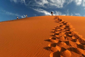 Avventura nel Sahara di 3 giorni e 2 notti: Da Marrakech a Merzouga