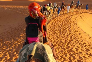 Avventura nel Sahara di 3 giorni e 2 notti: Da Marrakech a Merzouga