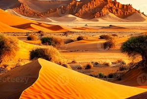 Avventura nel Sahara di 3 giorni e 2 notti: Da Marrakech a Merzouga