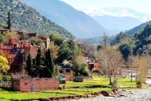 マラケシュ発セッティ・ファトマ＆オウリカ渓谷ツアー（昼食付