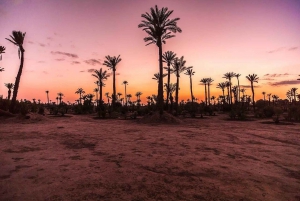 Wycieczka quadem w Marrakeszu Palm