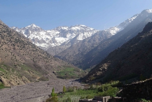 Trek du Mont Toubkal 2 jours et 1 nuit