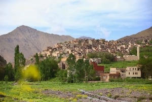 From Marrakech:Trekking in Atlas mountains 3 days