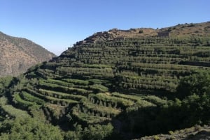 From Marrakech:Trekking in Atlas mountains 3 days