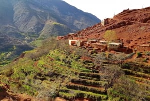 From Marrakech:Trekking in Atlas mountains 3 days