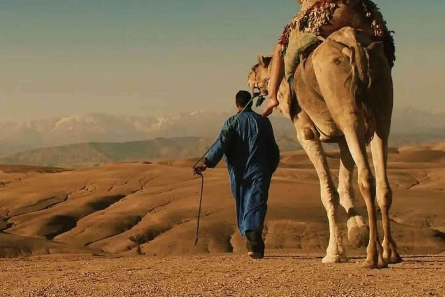 Unvergessliche Wüstennacht: Abendessen, Kamelritt & Quad