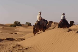 Escape to the Sahara: Desert Camping under the Stars in Autumn