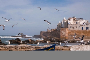 Unveiled: Full Day Escape to Essaouira from Marrakech