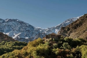 From Marrakech 3 Days Sahara Desert Tour Luxury Camp