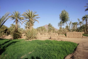 Zagora: 2-Day Desert Trip from Marrakech