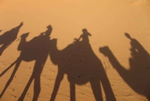 Zagora 2 Days Sahara Desert Tour with Dinner and Desert Camp