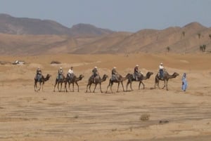 Zagora 2 Days Sahara Desert Tour with Dinner and Desert Camp