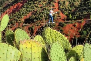 Marrakech: Zipline and Breakfast in the Atlas Mountains