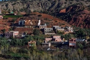 Marrakech: Zipline and Breakfast in the Atlas Mountains