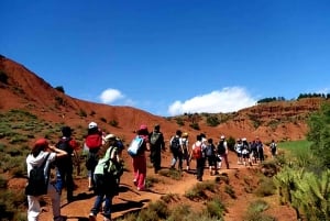 Marrakech: Zipline and Breakfast in the Atlas Mountains