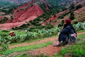 Marrakech: Zipline and Breakfast in the Atlas Mountains