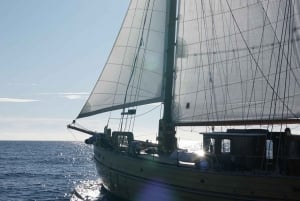 Marseille: Day trip on a sailboat in the heart of the Calanques with lunch