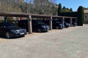 Aigues-Mortes: Private Transfer to Marseille Aéroport