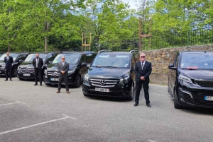 Aigues-Mortes: Private Transfer to Marseille Aéroport