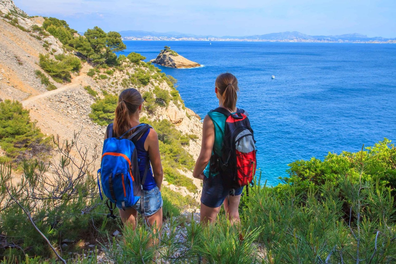 From Aix: Cassis Boat Ride & Provence Wine Tasting Day Tour