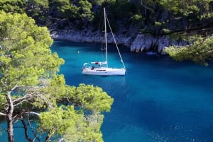 From Aix: Cassis Boat Ride & Provence Wine Tasting Day Tour