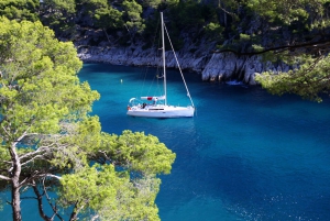 From Aix: Cassis Boat Ride & Provence Wine Tasting Day Tour