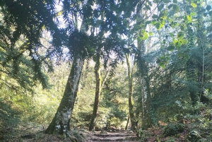 Secret Provence on Mary Magdalene’s Path