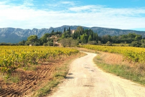 Secret Provence on Mary Magdalene’s Path
