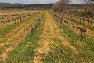 Secret Provence on Mary Magdalene’s Path