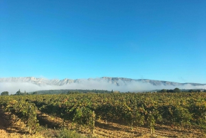 Secret Provence on Mary Magdalene’s Path