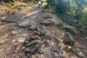 Secret Provence on Mary Magdalene’s Path