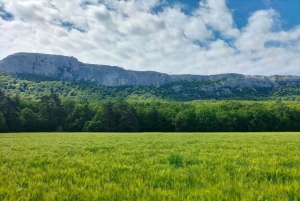 Secret Provence on Mary Magdalene’s Path