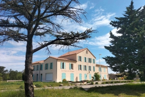 Secret Provence on Mary Magdalene’s Path