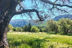 Secret Provence on Mary Magdalene’s Path