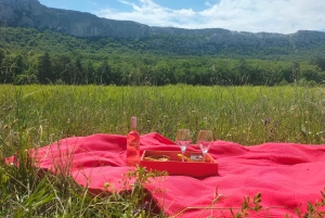 Secret Provence on Mary Magdalene’s Path