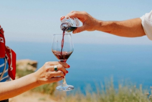 Mediterranean Dolce Vita Cassis, Calanques Boat Ride & Wines