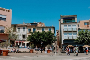 Mediterranean Dolce Vita Cassis, Calanques Boat Ride & Wines