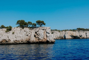 Mediterranean Dolce Vita Cassis, Calanques Boat Ride & Wines
