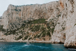 Mediterranean Dolce Vita Cassis, Calanques Boat Ride & Wines
