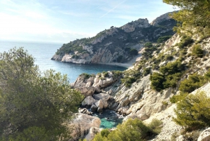 Mediterranean Dolce Vita Cassis, Calanques Boat Ride & Wines