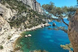 Mediterranean Dolce Vita Cassis, Calanques Boat Ride & Wines