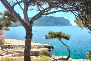 Mediterranean Dolce Vita Cassis, Calanques Boat Ride & Wines