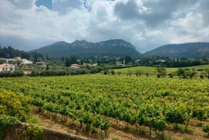 Mediterranean Dolce Vita Cassis, Calanques Boat Ride & Wines
