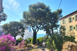 Mediterranean Dolce Vita Cassis, Calanques Boat Ride & Wines