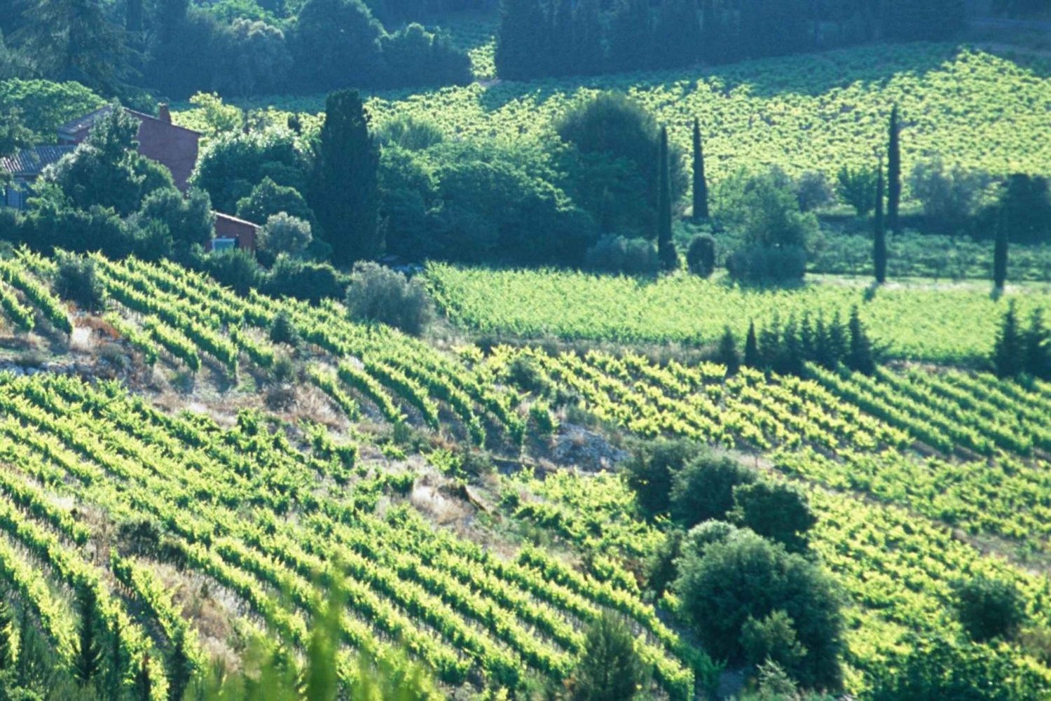 Bandol and Cassis: Full Day Wine Tour from Marseille