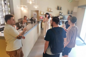 Baux and Saint Rémy de Provence: History Wine and Landscapes