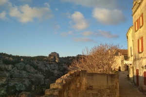 Baux and Saint Rémy de Provence: History Wine and Landscapes