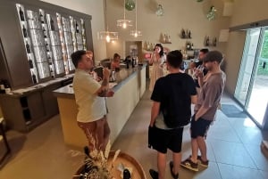 Baux and Saint Rémy de Provence: History Wine and Landscapes